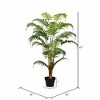 Vickerman Artificial Potted Fern Palm with Real Touch Leaves - image 3 of 4