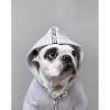 Fresh Pawz x Walter Geoffrey Meltdown City Dog Hoodie - 3 of 3
