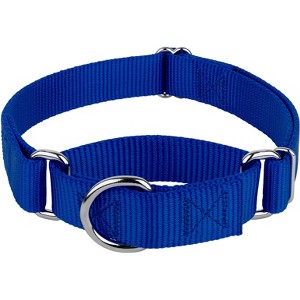 Country Brook Petz Martingale Heavyduty Training Collar with No Buckle - Service Collar for All Dogs - Vibrant, Colorful Collection - 1 of 4