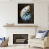 Stupell Industries Dark Nautilus Shell, 48" x 36" - 2 of 4