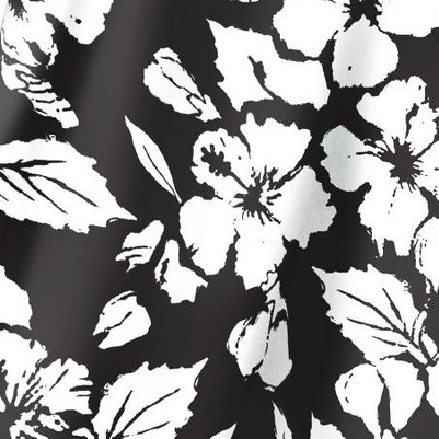 black hibiscus