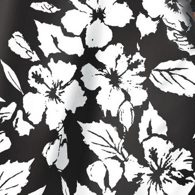 black hibiscus