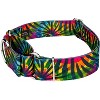 Country Brook Petz® 2 Inch Martingale Dog Collar - 2 of 4