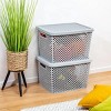 Racxily 4 PCS Extra Large Decorative Plastic Storage Basket, Storage Bin with Lid, Gray - 2 of 4