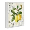 Stupell Industries Vintage Lemon Pattern, 24" x 24" - 3 of 4