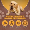 WhiteTail Naturals Split Elk Antler Dog Chews – 1 lb Bulk Pack, Marrow-Filled Natural Bones for Aggressive Chewers – Organic, Odorless, Made in USA - 4 of 4