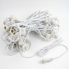 Novelty Lights Globe Outdoor String Lights with 80 In-Line Sockets White Wire 100 Feet - 3 of 4