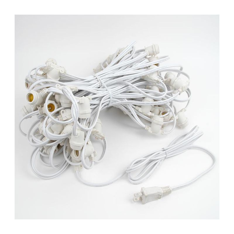 Novelty Lights Globe Outdoor String Lights with 80 In-Line Sockets White Wire 100 Feet, 4 of 9