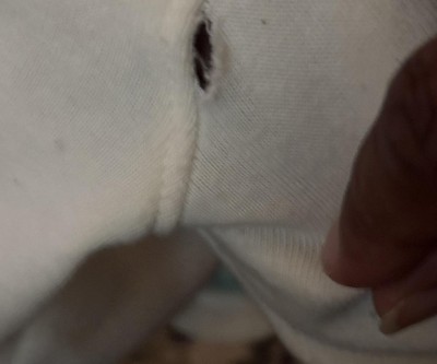 Guest review image 1 of 1, zoom in