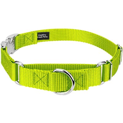 Country Brook Petz Heavyduty Nylon Martingale with Premium Buckle
