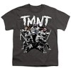 Teenage Mutant Ninja Turtles Teenage Mutant Ninja Turtles Team Youth T Shirt, Charcoal - 2 of 4