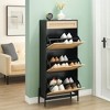 Shoe Storage Cabinet, Freestanding Rattan Cabinet Rack for Entryway, Entrance Hallway,Entry Way Cabinet with Storage - 2 of 4