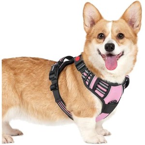 rabbitgoo Dog Harness Small Sized, No Pull Pet Harness with 3 Buckles, , Walking Reflective Pet Vest for Small Dogs, Pink, S - 1 of 1