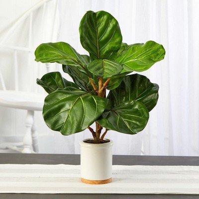 Verdant Fiddle Leaf Fig 24" Artificial Tree in White Ceramic Planter