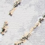 grey/gold