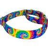 Country Brook Petz Martingale Dog Collar - Groovy Collection - 3 of 4