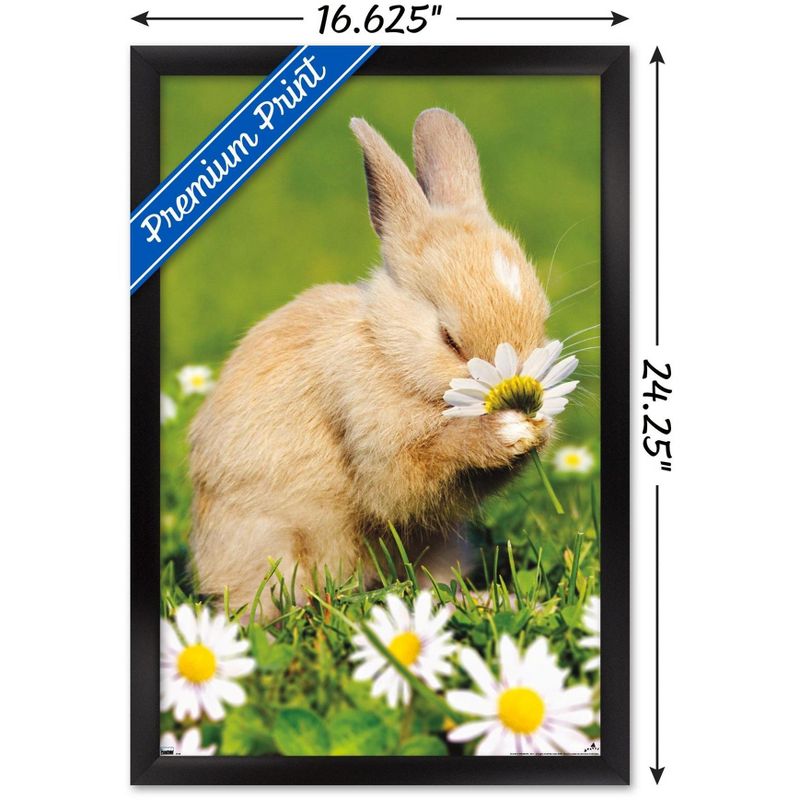Trends International Avanti - Bunny Smelling Flower Framed Wall Poster Prints, 3 of 7