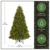 National Tree Company 4.5' Pre-Lit Dunhill Fir Hinged Artificial Christmas Tree with Clear Lights - 4 of 4