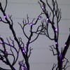 Nearly Natural 6-ft Pre-Lit Halloween Minimalist Twig Artificial Fall Tree with 320 Orange and Purple LED Lights - 4 of 4