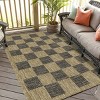 Playa Rug Daisy Rectangle Woven Indoor Outdoor Rugs - 3 of 4