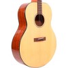 Gold Tone Mastertone TG-18 Tenor Guitar With Vintage Design and Bag - 3 of 4