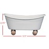 White Enamel Bathtub Soap Dish with Wood Bead Feet - Foreside Home & Garden - 4 of 4
