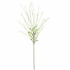 Spring Blossom Stem – 46"H Artificial White Flower, EVA Foam & Wire Construction (Set of 6) by Kalalou - 2 of 3