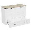 Polibi Fold-Out Murphy Cabinet Bed with Storage Drawer and Charging Station - 3 of 4