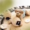 Bencmate Pet Toy Ball For Dogs, Enrichment Interactive Dog Toys For Boredom, Toys To Keep Them Busy, Cute Lamb, White(7.87"*9.84"*7.87") - 3 of 4