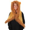 HalloweenCostumes.com    Hood Furry Lion, Orange/Brown - 2 of 4