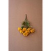 Artificial Dahlia Bundle Mustard Yellow Faux Flowers 18 Inch by Kalalou - 4 of 4