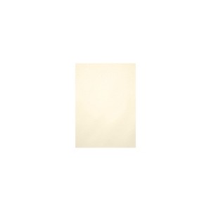 LUX 105 lb. Cardstock Paper 8.5" x 11" Champagne Metallic 50 Sheets/Pack (81211-C-M08-50) - 1 of 1