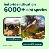 Smart Wild Bird Feeder with Camera for Outdoor , AI Enabled Bird Recognition & Solar Power - 4 of 4