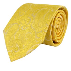 Men's Paisley Microfiber Woven Wedding Neckties - 1 of 4