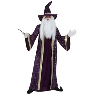 HalloweenCostumes.com Men's Plus Size Wizard Costume - 1 of 1