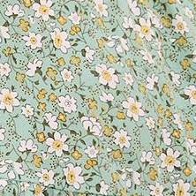 light green white yellow flowerslight green