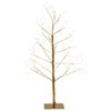 The Lakeside Collection Lighted Twinkle Trees - 24" - 3 of 4