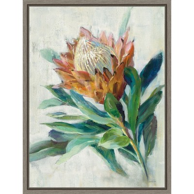 Amanti Art Protea by Danhui Nai Canvas Wall Art Print Framed 18 x 24-in.