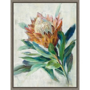 Amanti Art Protea by Danhui Nai Canvas Wall Art Print Framed 18 x 24-in. - 1 of 4