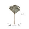 Vickerman Natural Botanicals 20" Palm Sun Stem, 12/Pk - 2 of 4