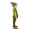 HalloweenCostumes.com Toddler Disney Peter Pan Costume | Disney Costumes - image 3 of 4