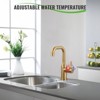 WOWOW Single Handle Bar Kitchen Faucet - 4 of 4