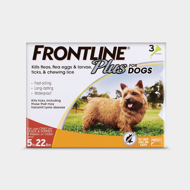 Flea and tick medicine best sale