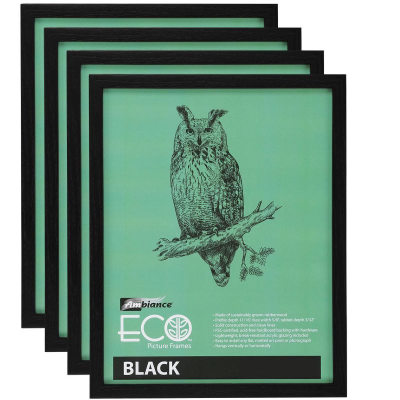 Ambiance Eco Frames - 4 Packs - Assorted Sizes and Colors, 1 of 7