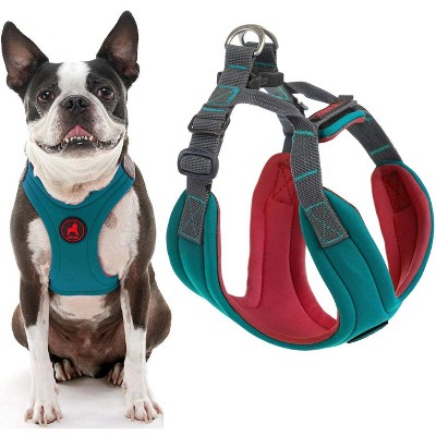 Gooby Convertible Harness, Small Dog Step in Neoprene Harness with Easy Neck Fastener, Turquoise, Medium