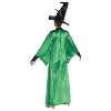 Disguise Womens Harry Potter Professor McGonagall Deluxe - 2 of 2