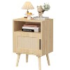 Bella Depot 22.83'' H End Table Rattan Nightstand Bedside Table, Side Table with Door Open Shelf,1pcs - 4 of 4