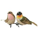 Home Decor Feather Birds Brown Green  -  Two Bird Figurines 3.25 Inches -  Chirp Song  -  55157-55158  -  Styrofoam  -  Multicolored