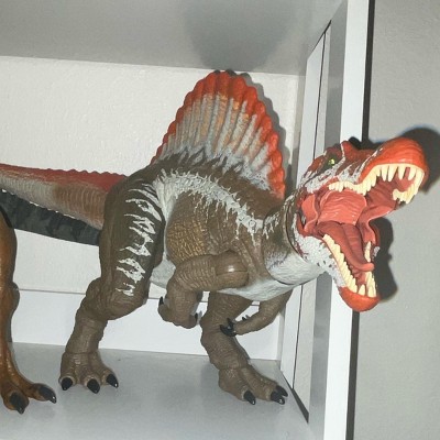 Guest review image 1 of 1, zoom in