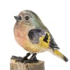 Melrose Stone Perched Bird Figurine (Set of 6) - image 2 of 3